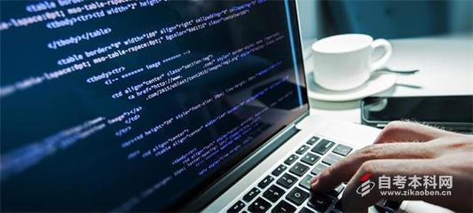 自考计算机应用技术专业 网站技术服务方向考试课程指南
